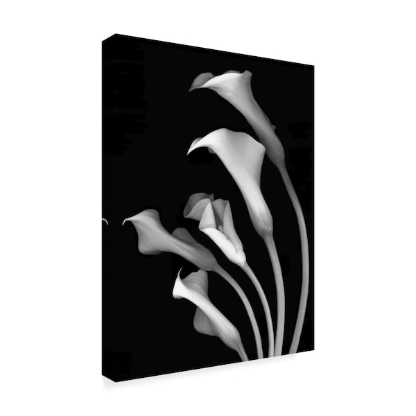 Susan S. Barmon 'Calla Lilies 3 Black And White' Canvas Art,18x24